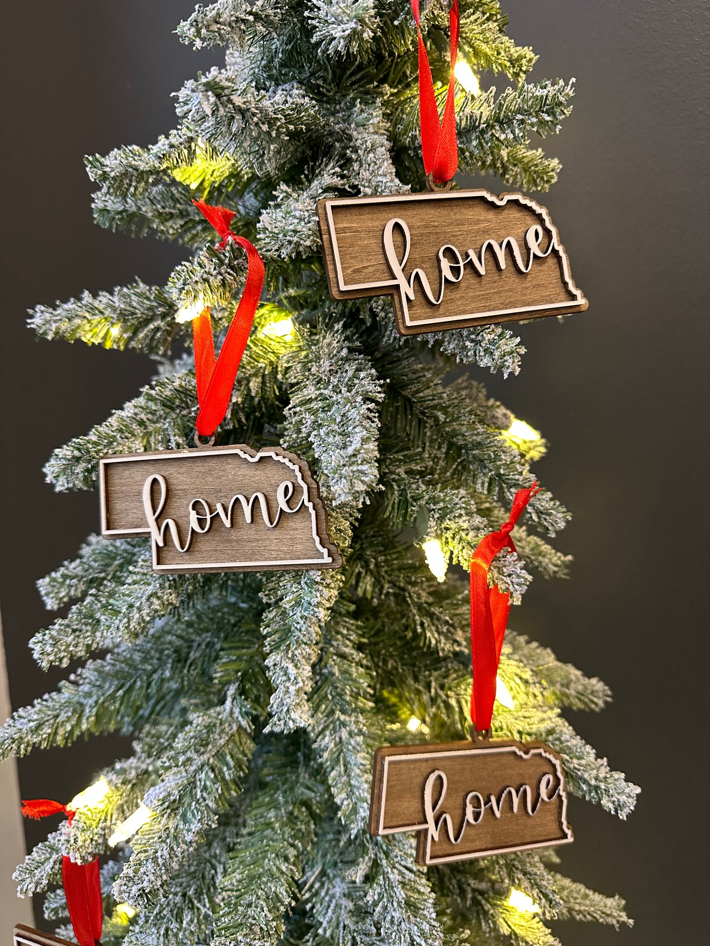 Nebraska Home Wood Ornament