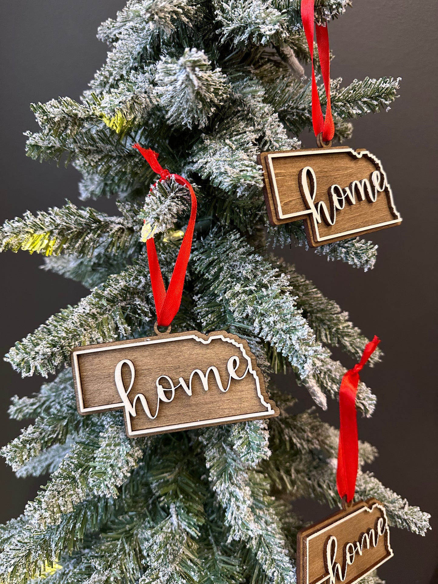 Nebraska Home Wood Ornament
