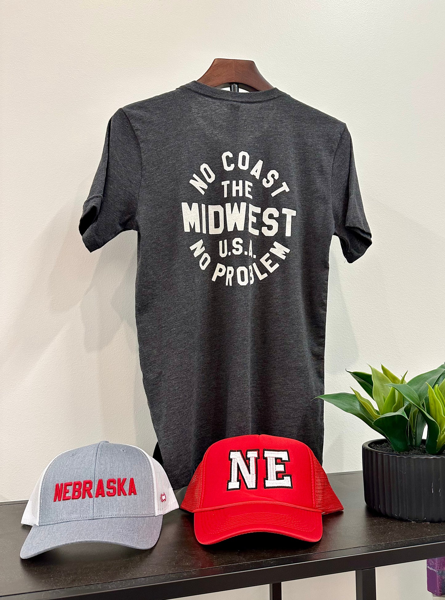 The Midwest No Coast No Problem T-Shirt